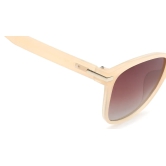 Brown Wayfarer Sunglasses for Women