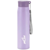 Milton Handy 850 Stainless Steel Water Bottle (780 ml) Purple - Purple