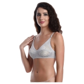 Madam Net/Mesh T-Shirt Bra - Grey Single - 36B