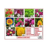 10 FLOWERS SEEDS COMBO MORE THAN 200 SEEDS PACK WITH FREE COCO PEAT AND USER MANUAL FOR GARDENING USE (DAHLIA,ZINNIA,FRENCH MARIEGOLD, GIANT YELLOW MARIEGOLD,CELOSIA,COSMOS,VERBENA,LUPIN,SUN