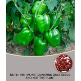 homeagro- Capsicum Vegetable Seeds (Pack of 30)