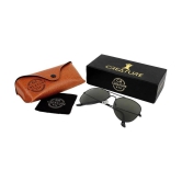 Creature - Black Pilot Sunglasses ( SUN-152 ) - Medium