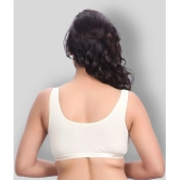 Kiran Enterprises White Cotton Non Padded Womens T-Shirt Bra ( Pack of 2 ) - None