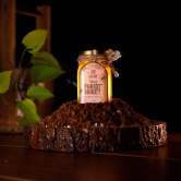 Tropical Forest Honey | Organic Honey | Culture Shoppe-