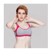 Kiran Enterprises Multicolor Cotton Non Padded Womens T-Shirt Bra ( Pack of 2 ) - None