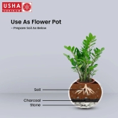 USHA SHRIRAM Stainless Steel Flower Pot, 6L, Rust Resistant, Sustainable Planter for Home, Office, Living Room, Indoor Plants.-USHA SHRIRAM Stainless Steel Flower Pot | 6L | Rust Resistant | Home