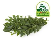 Curry Leaves Bunch