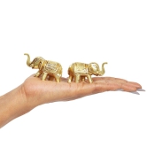 Brass Elephant | Set of 2 | 100% Pure Brass | Yellow Antique Finish