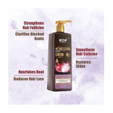 WOW Skin Science Red Onion Black Seed Oil Shampoo With Red Onion Seed Oil Extract, Black Seed Oil & Pro-Vitamin B5 - Vol 1 L