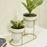 Double Pot Metallic Desk Planter-White