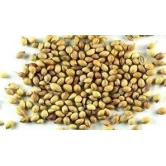  Devi Foods Coriander Powder 50g