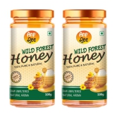 ANP BEE Wildflower Honey Wild Forest Honey 500 g Pack of 2