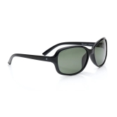 Green Bug Eye Sunglasses for Women