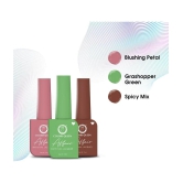 Colors Queen - Multi Matte Nail Polish ( Pack of 3 )