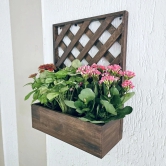 BARISH - Wall Mounted Planter - Single Square | Handcrafted with Rubberwood | Indoor Planter Frame with Stand 18 x 14 x 6 Inches