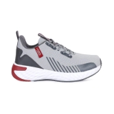 Campus Simba Pro Gray Running Shoes - None