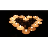 Elecsera Tea Light Candle Wax (White,Approx-4 Hours Burn Time) Candle (White, Silver, Pack of 50)