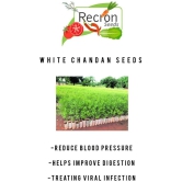 Recron Seeds - Sandalwood Plant ( 10 Seeds )