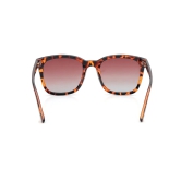 Brown Wayfarer Sunglasses for Unisex