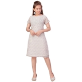 Aarika White Georgette Girls A-line Dress ( Pack of 1 ) - None