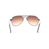 Brown Navigator Sunglasses for Men and Women