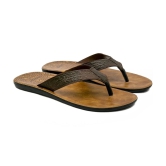 ASIAN Brown Mens Daily Slipper - None