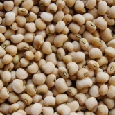 Vattam Cowpea - White, 500 Gm