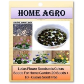 homeagro - Flower Seeds ( 20 )