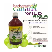 Herbotech Canada WILD AMLA JUICE NATURAL SOURCE OF VIT C, healthy Hair & Skin, Detox juice for weight loss I NO ADDED SUGAR