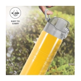 Milton Vogue 500 Stainless Steel Water Bottle, 490 ml, Yellow - Yellow