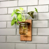 Wall Planter - Single Jar