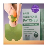 purple dust Pain Relief Patch ( Pack of 1 )