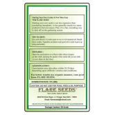 FLARE SEEDS Spinach Green Seeds - 50 Seeds Pack