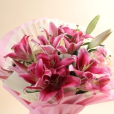 6 Beautiful Pink Oriental Lilies Bouquet