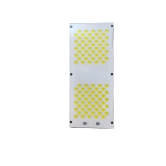 Warm White Color LED COB PCB Dot Matrix 50W 153x45mm