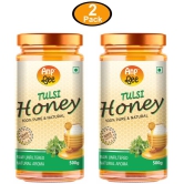 ANP BEE Honey Raw Tulsi Honey 500 g Pack of 2