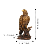 Artarium Resin Mighty Eagle Statue, Eagle Figurines Sculptures, Home Decor Statue howpiece, Feng Shui Vastu Eagle Statue for Decor and Gift (1 Piece)