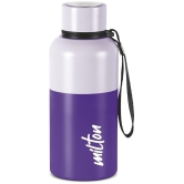 Milton Ancy 500 Thermosteel Water Bottle, 520 ml, Violet | 24 Hours Hot and Cold | Easy to Carry | Rust Proof | Tea | Coffee | Office| Gym | Home | Kitchen | Hiking | Trekking | Travel Bottl