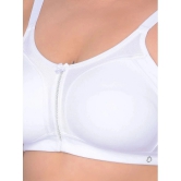 Dollar Missy White Cotton Non Padded Womens Everyday Bra ( Pack of 1 ) - None