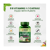 Himalayan Organics Plant Based B-Complex Vitamins B12, B1, B2, B3, B5, B6, B9 and Biotin 60 Caps