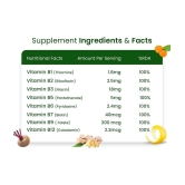 Himalayan Organics Plant Based B-Complex Vitamins B12, B1, B2, B3, B5, B6, B9 and Biotin 60 Caps