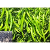 homeagro - Chilli Vegetable ( 50 Seeds )