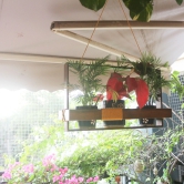 Hanging Planter Frame Single