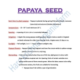 Red Lady Papaya Pack of 40 Seeds + Instruction Manual