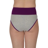 Madam Purple PANTY Nylon Solid Womens Hipster ( Pack of 1 ) - None