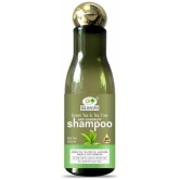 GULBADAN Green Tea & Tea Tree Anti-Dandruff Shampoo Shampoo 200 mL