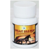 Shilajit Gold Plus Capsules|100% Ayurvedic | Pure & Natural Shilajeet| Boost Immunity,Night Stamina