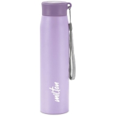 Milton Handy 850 Stainless Steel Water Bottle (780 ml) Purple - Purple