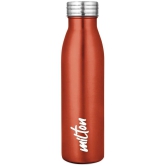 Milton - BREEZE 750,METALLIC BROWN Brown Water Bottle 730 mL ( Set of 1 ) - Brown