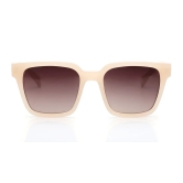 Brown Wayfarer Sunglasses for Unisex